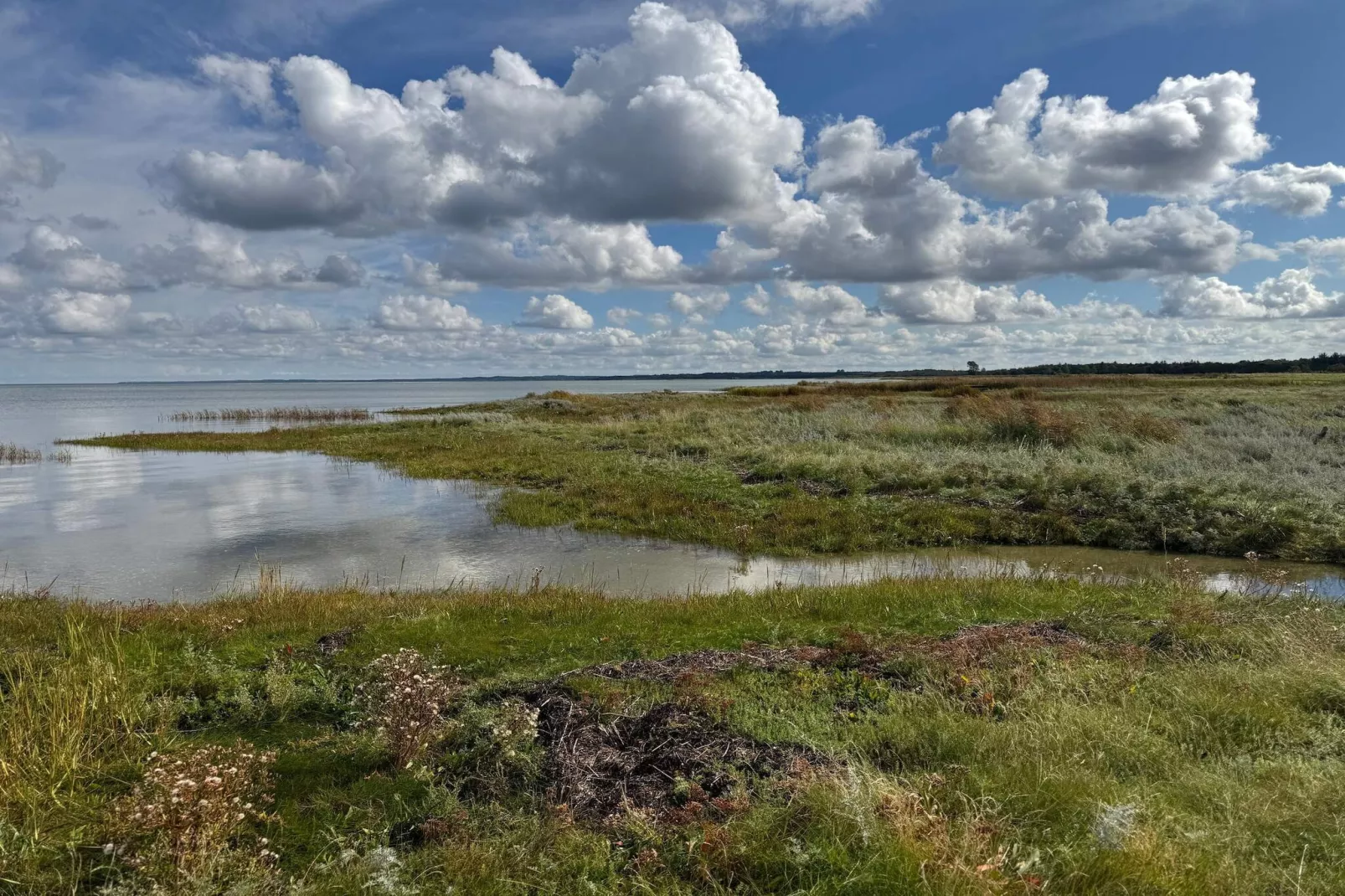 8 persoons vakantie huis in Ørsted-By Traum-Waterzicht
