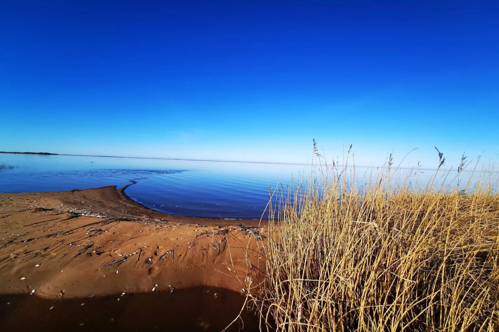 Rustige oase bij fjord -- By Traum Ferienwohnungen