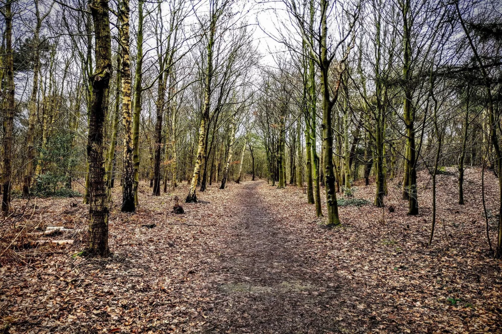 5 persoons vakantie huis in Esbjerg V-By Traum-Niet-getagd