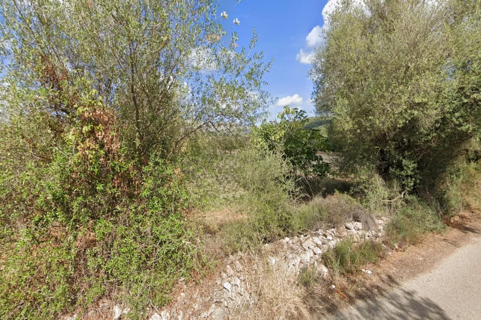 Can Serra-Gebieden zomer 5km