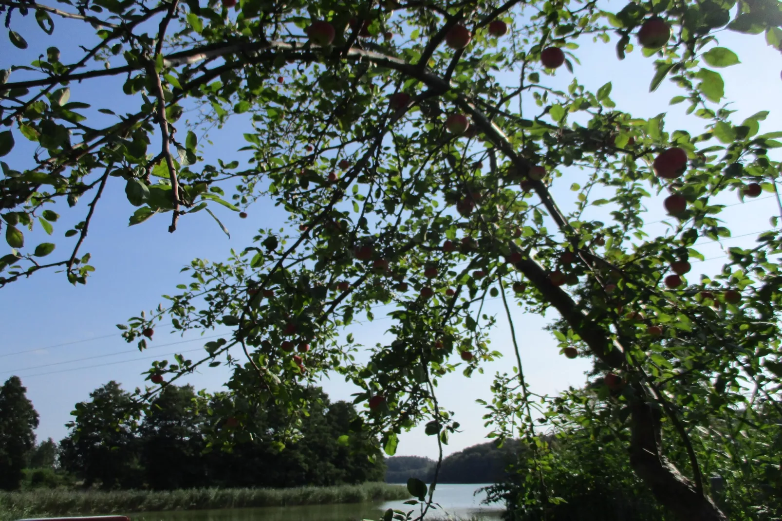 Holiday flat in Kolczewo70 qm for 6 persons-Gebieden zomer 1km