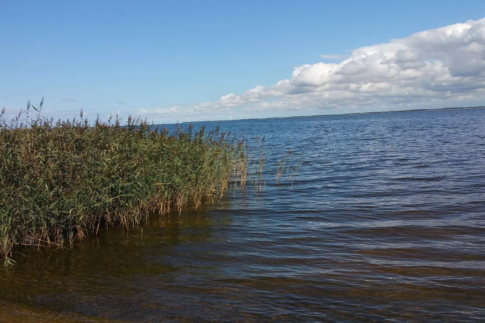 Idyllisch natuurlijk toevluchtsoord -- By Traum Ferienwohnungen-Waterzicht