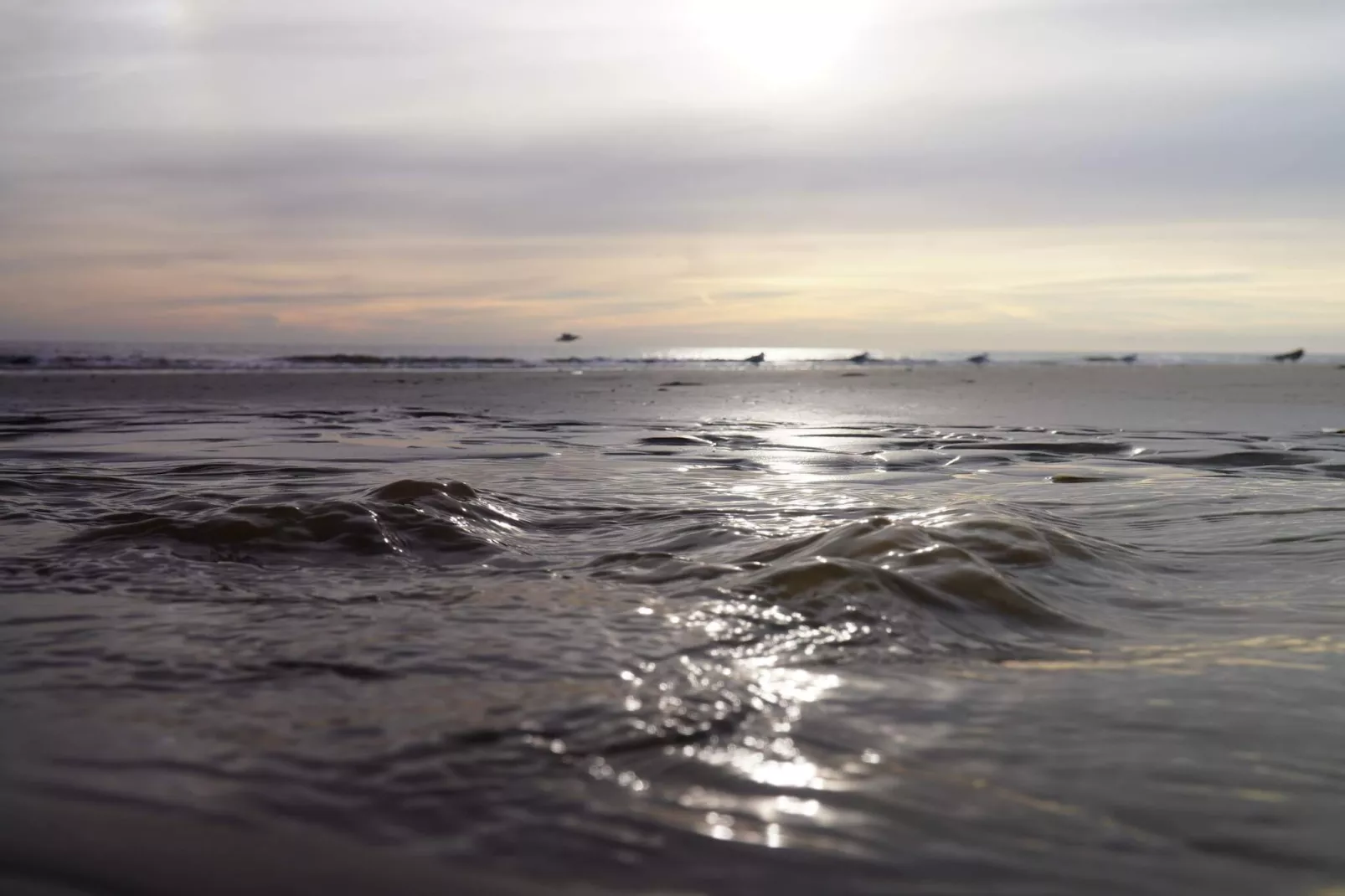 10 persoons vakantie huis in Oksbøl-By Traum-Waterzicht