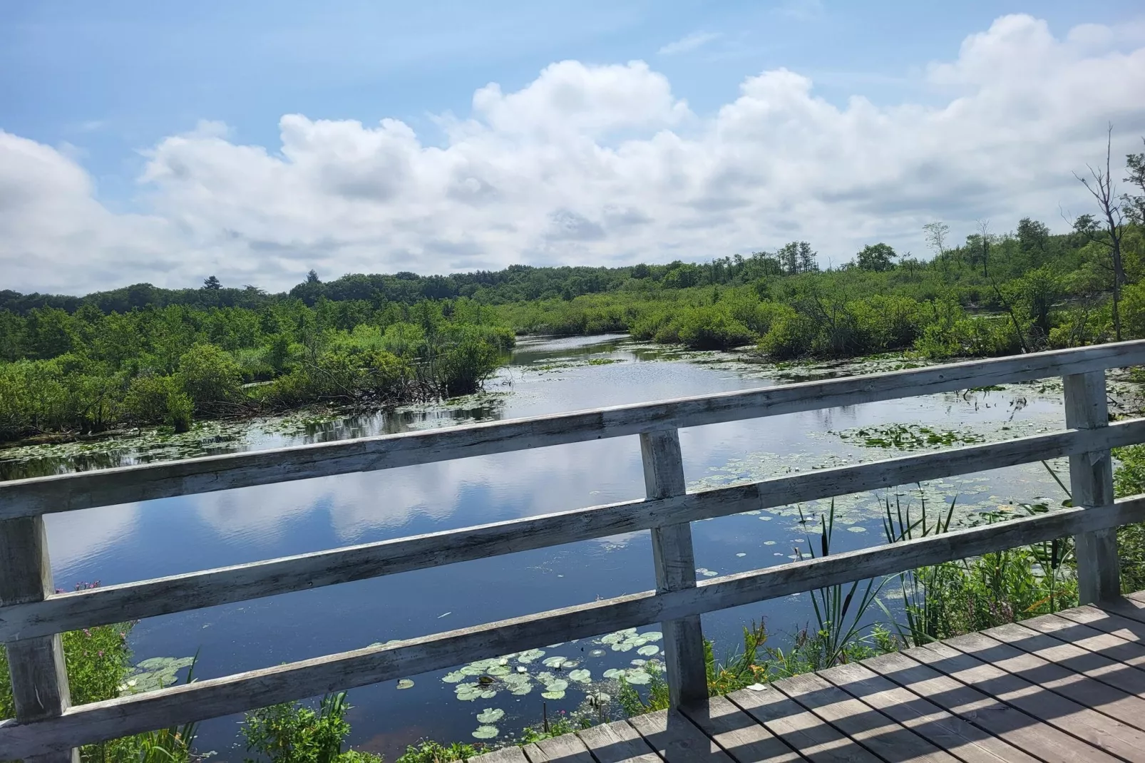 Domki wakacyjne w Gąskach-Gebieden zomer 1km