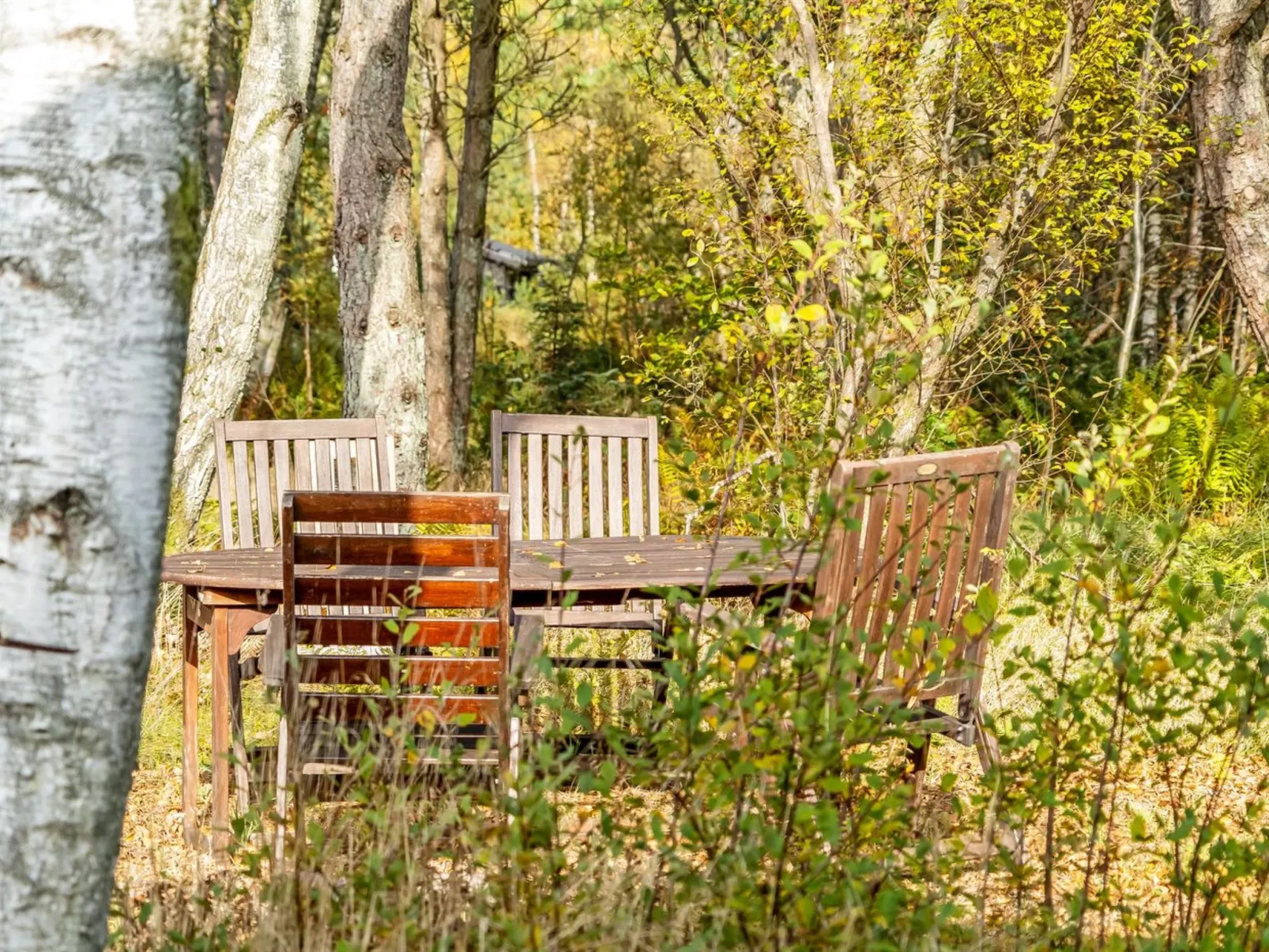 "Tanas" - 2km from the sea-Buiten