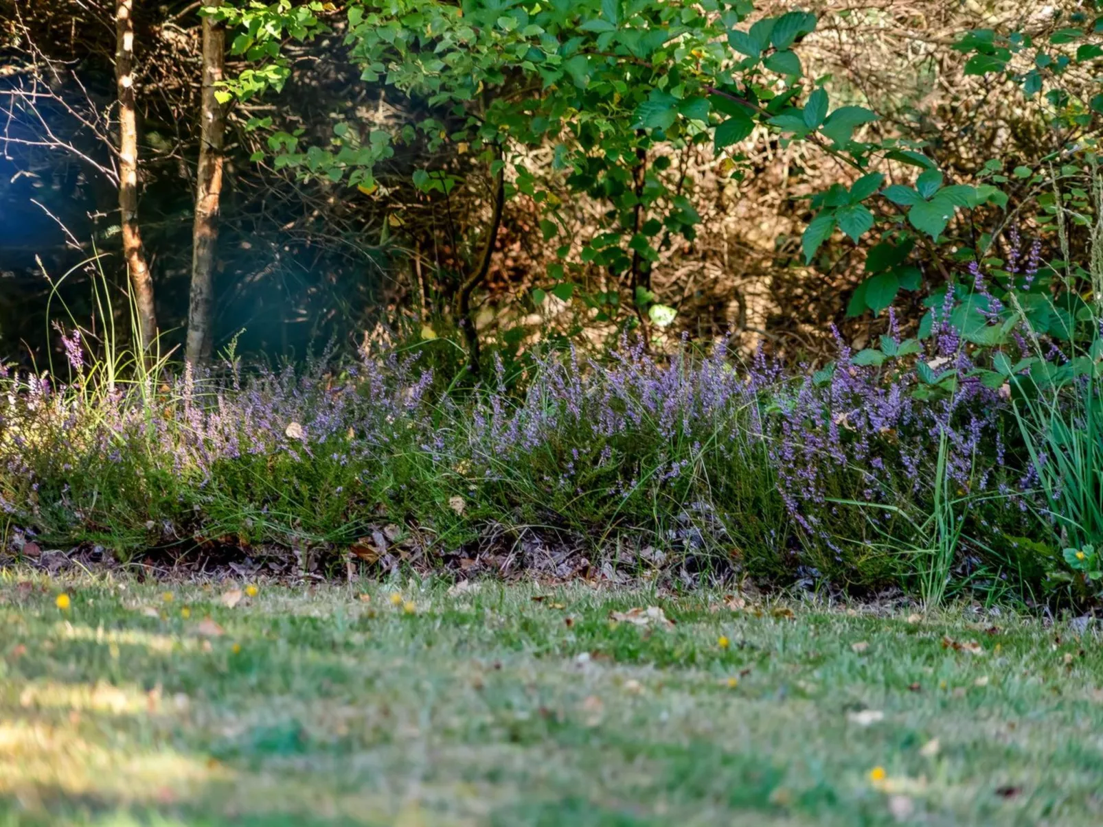 "Barne" - 4km from the sea-Buiten