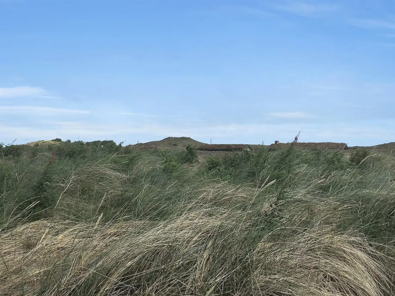 "Gerulf" - 600m from the sea-Buiten