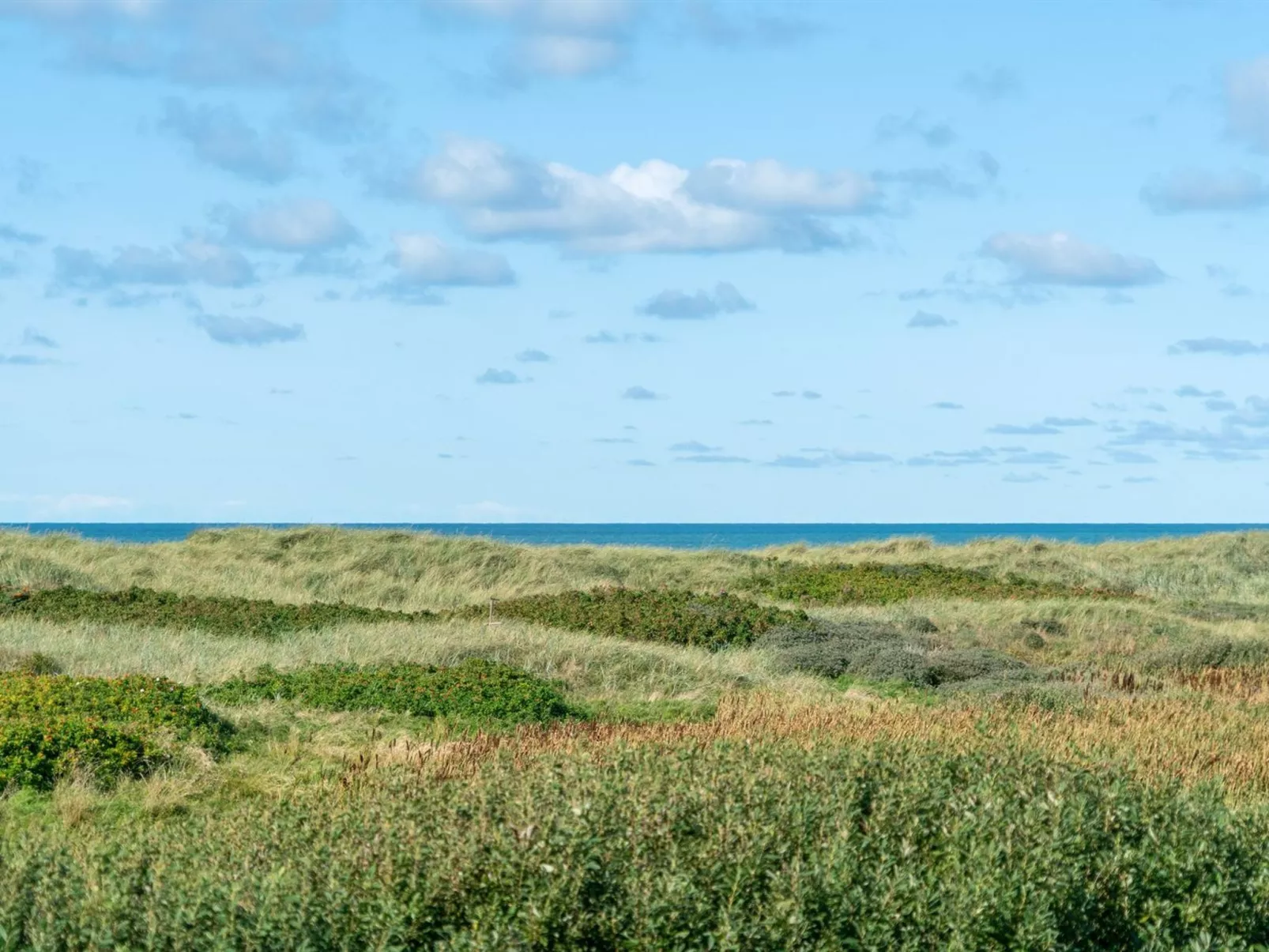 "Anne" - 100m from the sea-Buiten