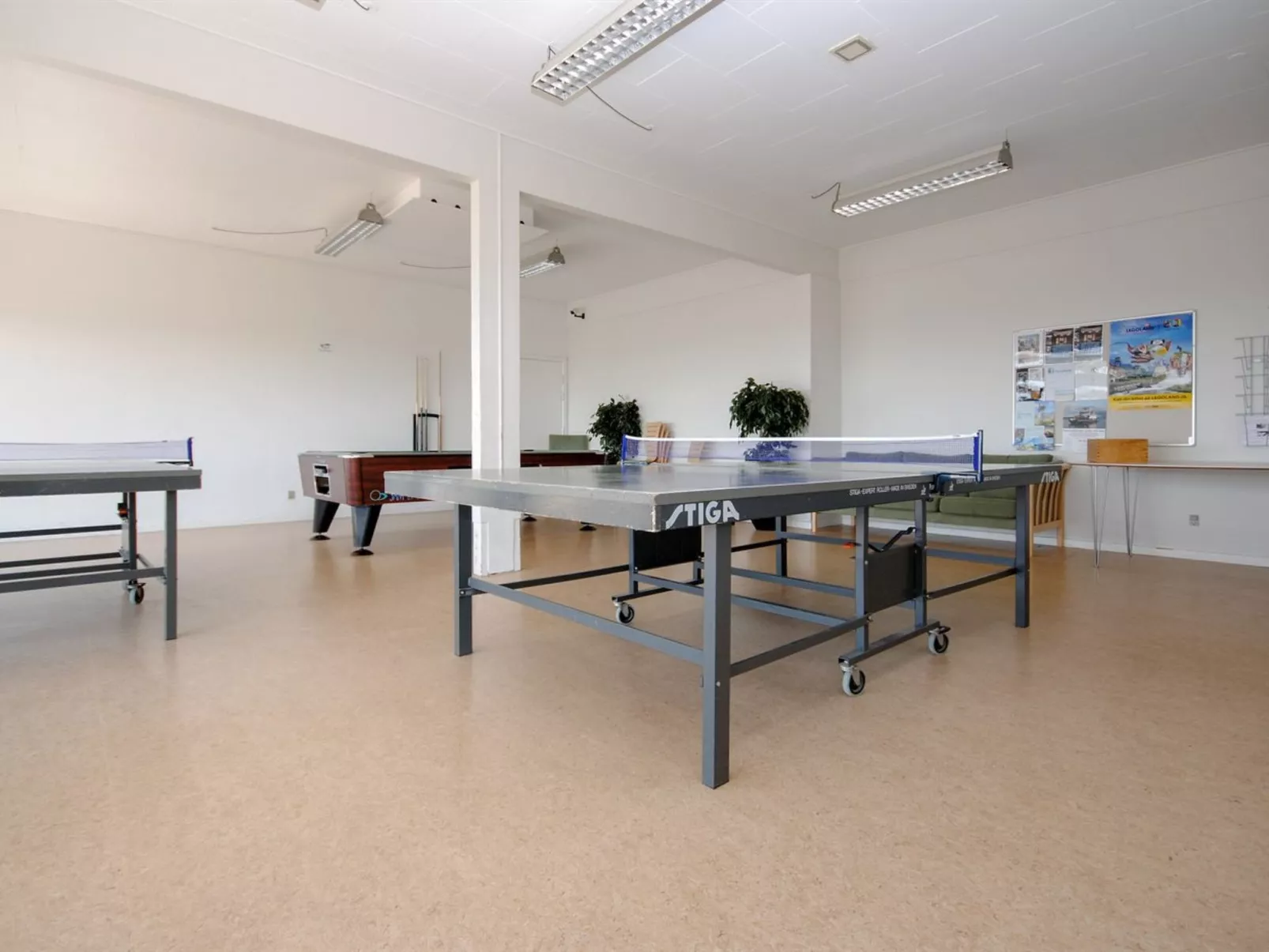 "Dineke" - 200m to the fjord-Binnen