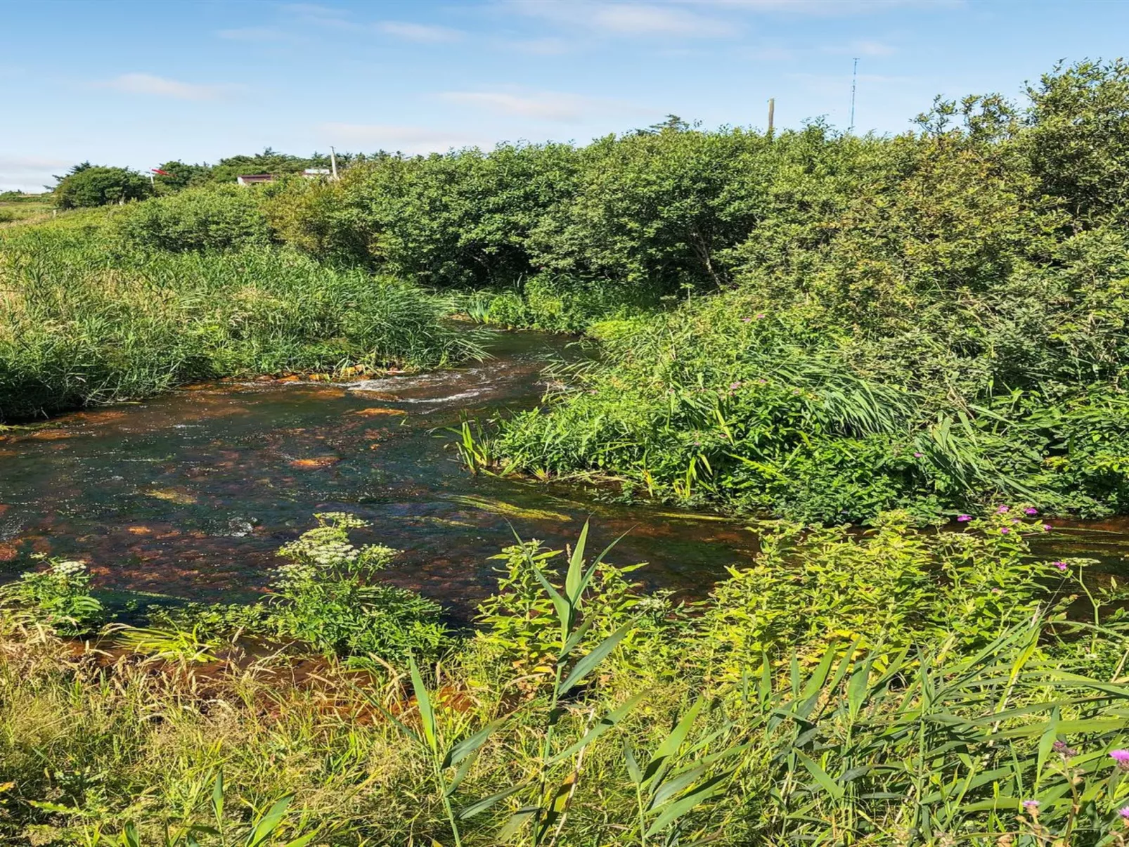 "Lökea" - 800m from the sea-Buiten