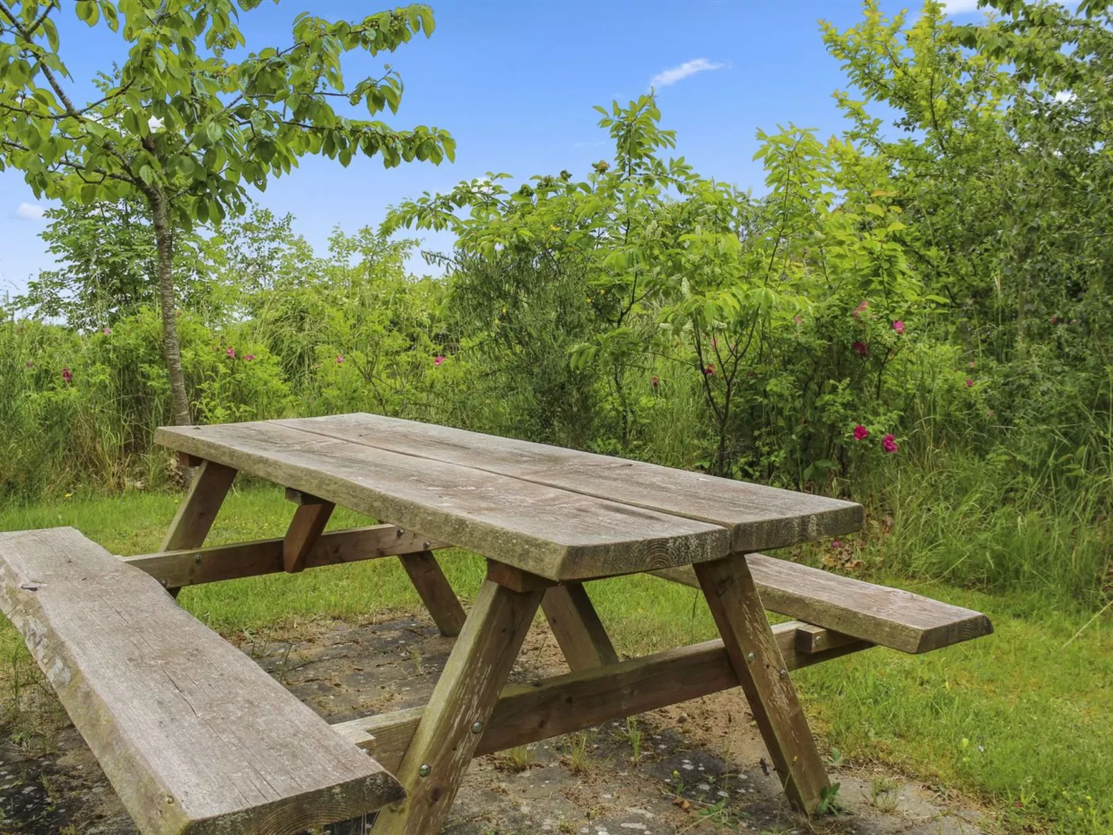 "Rawald" - 200m from the sea-Buiten