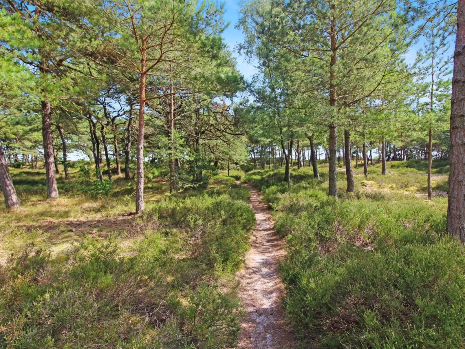 "Læff" - 50m from the sea-Buiten