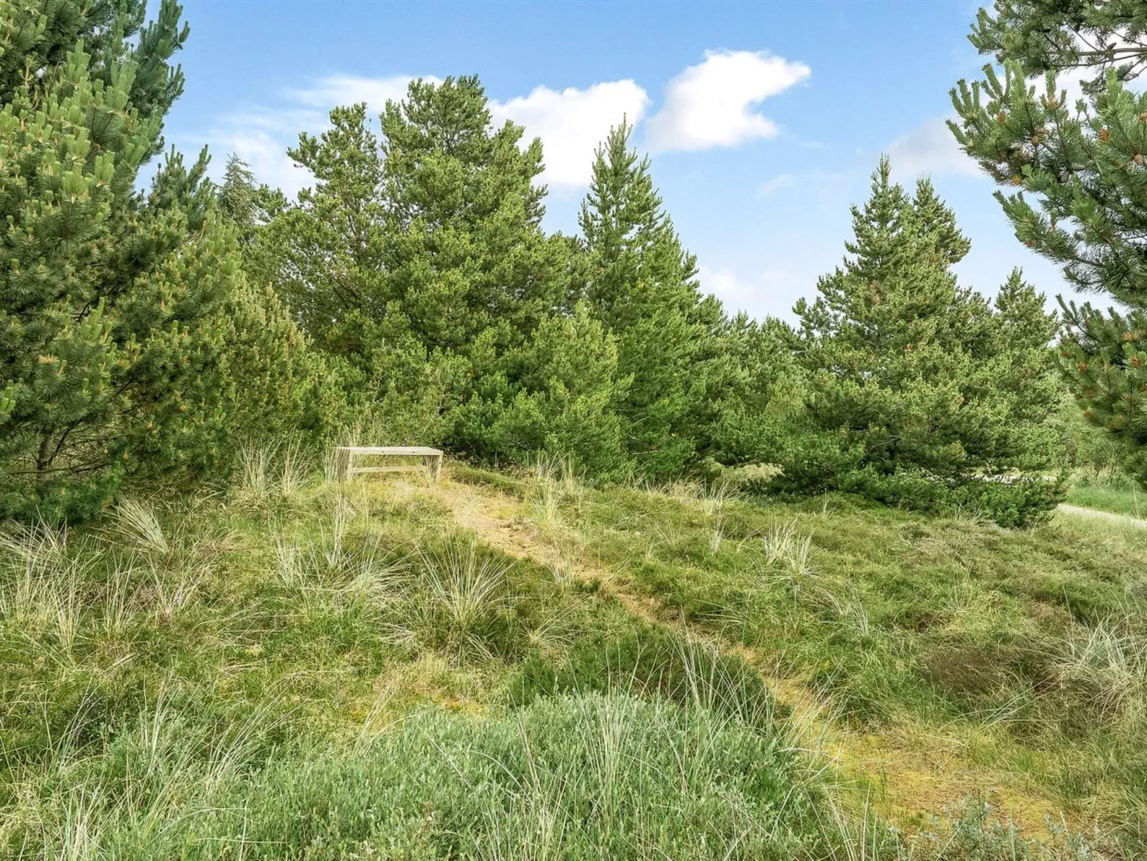 "Hughlek" - 900m from the sea-Buiten