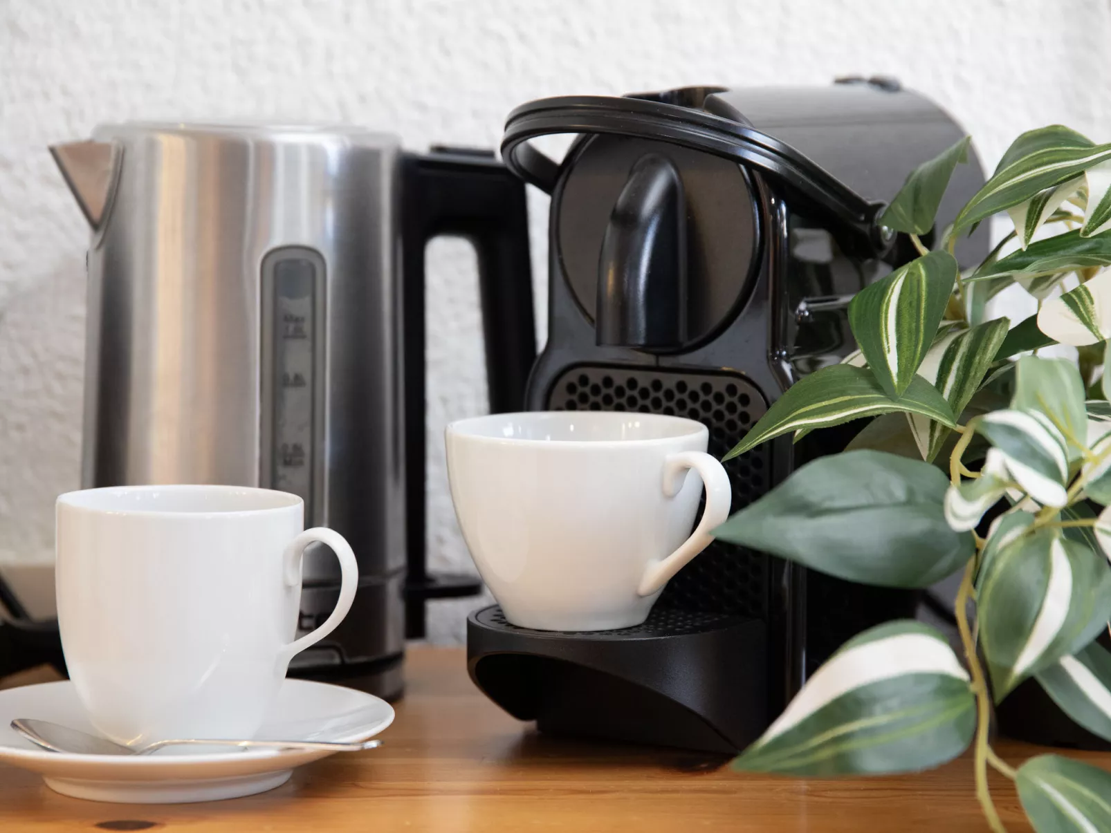 Primula Apt. B-Binnen