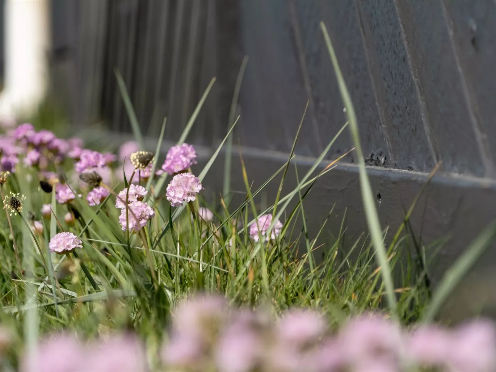 "Ralf" - 300m from the sea-Buiten