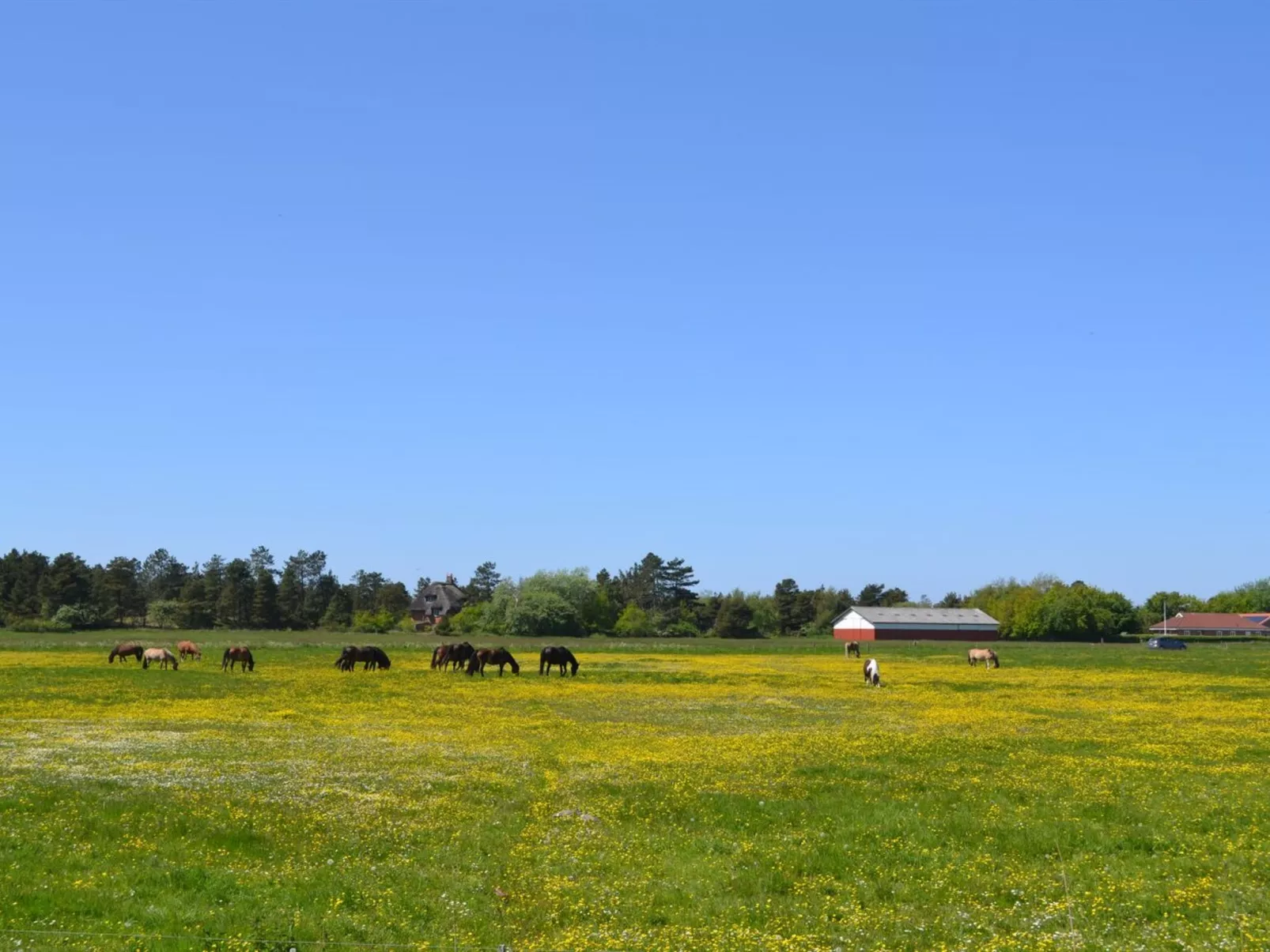 "Withulf" - 2.3km from the sea - Buiten