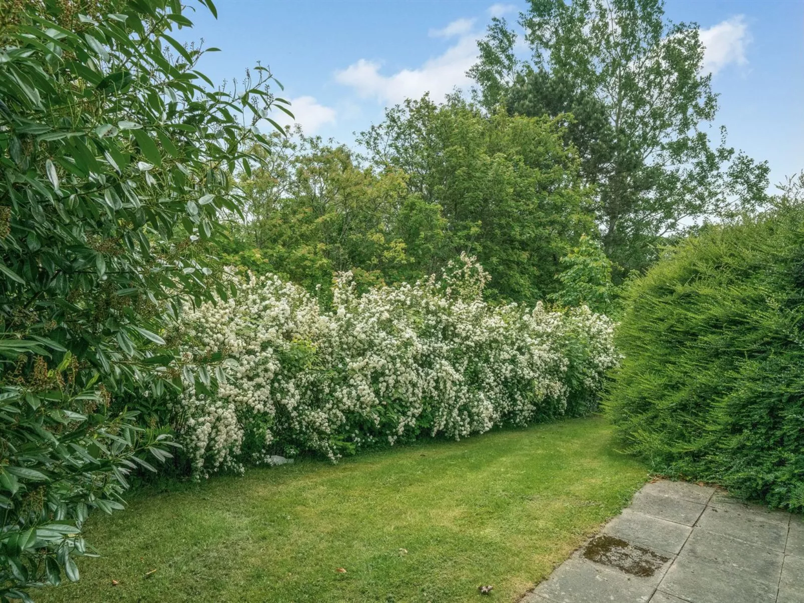 "Thorwer" - 250m from the sea-Buiten