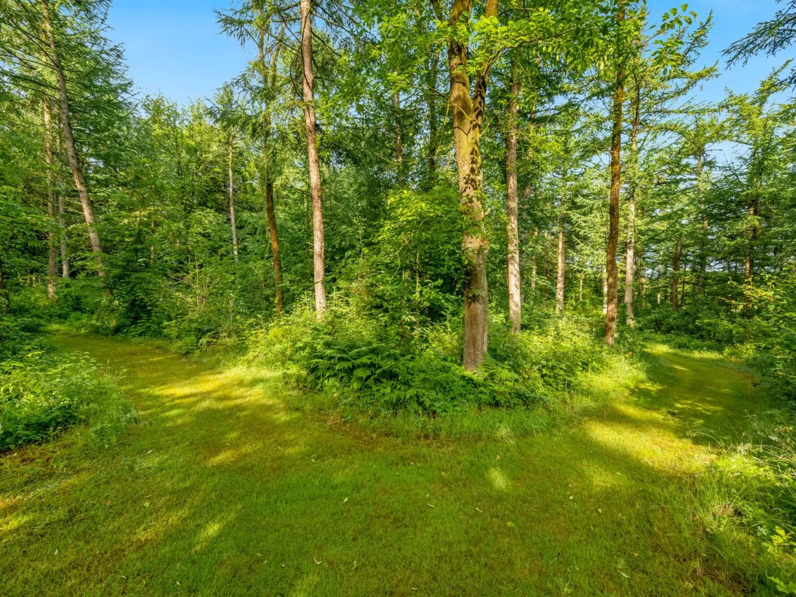 "Fina" - 15km from the sea-Buiten