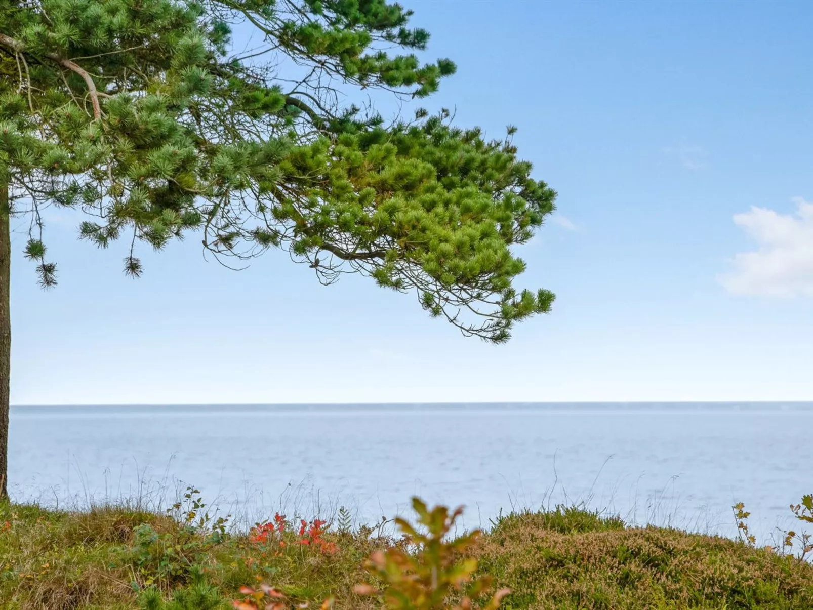 "Ingeborg" - 100m to the fjord-Buiten