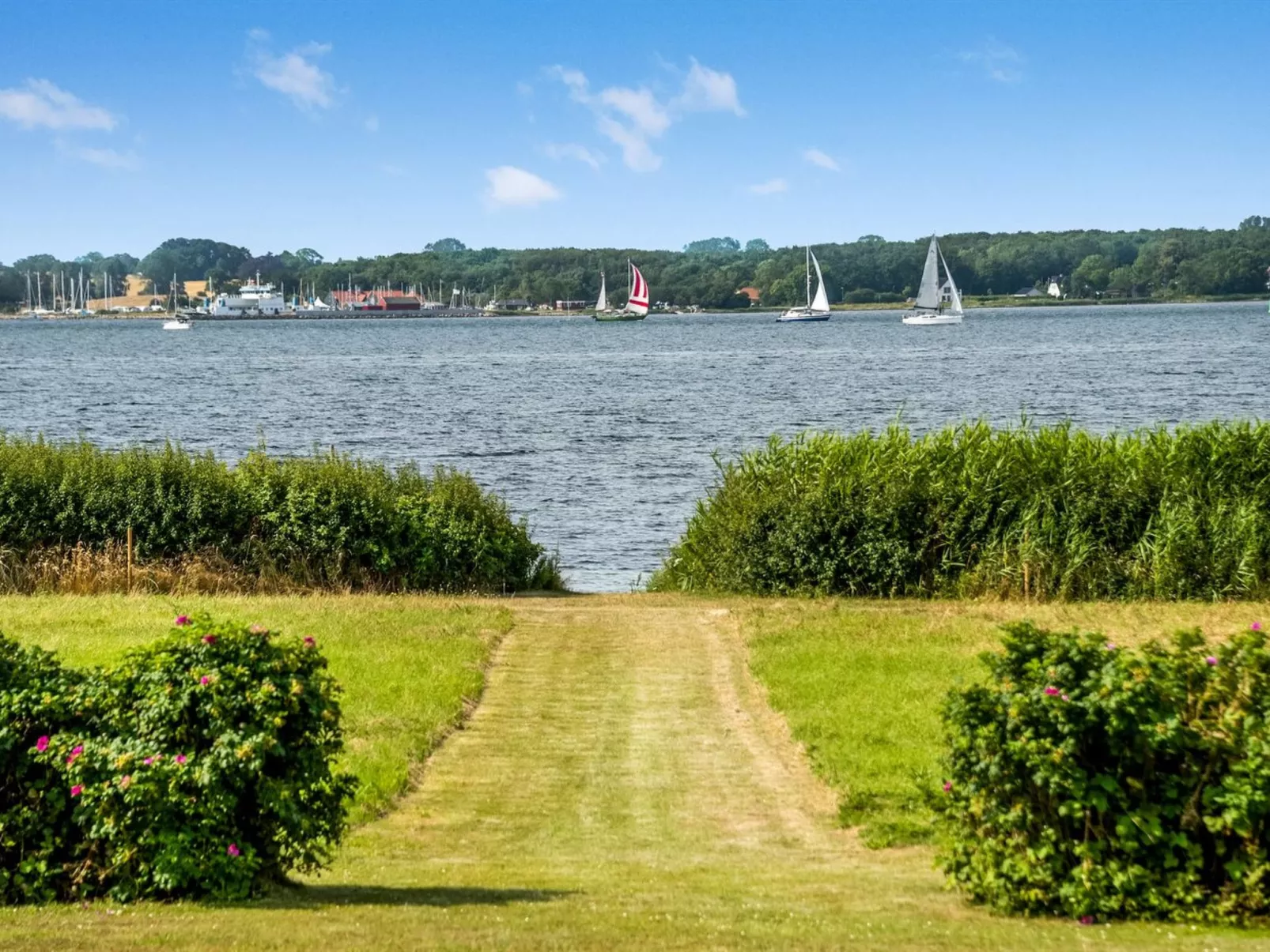 "Eddy" - 50m from the sea-Buiten