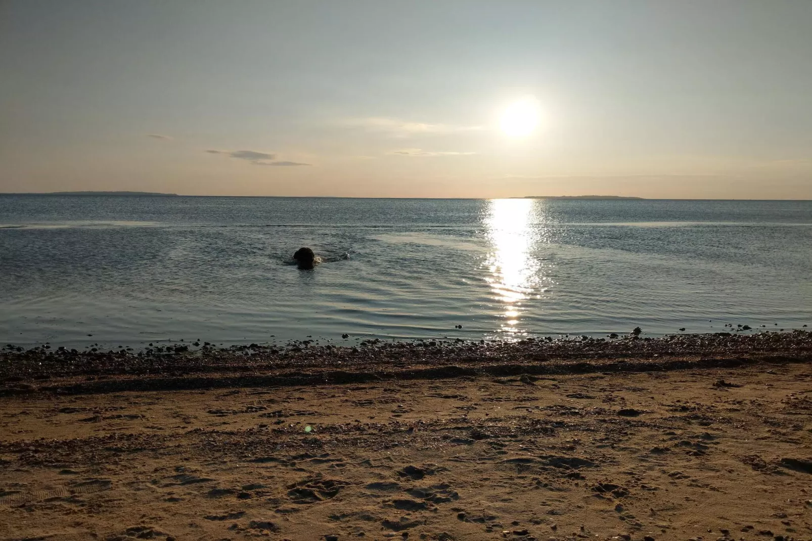 7 persoons vakantie huis in Løgstør-By Traum-Waterzicht