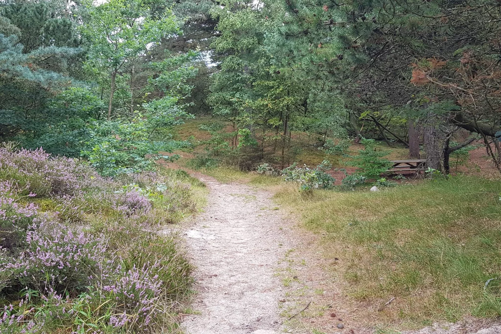 Luxe villa met zwembad -- By Traum Ferienwohnungen-Waterzicht