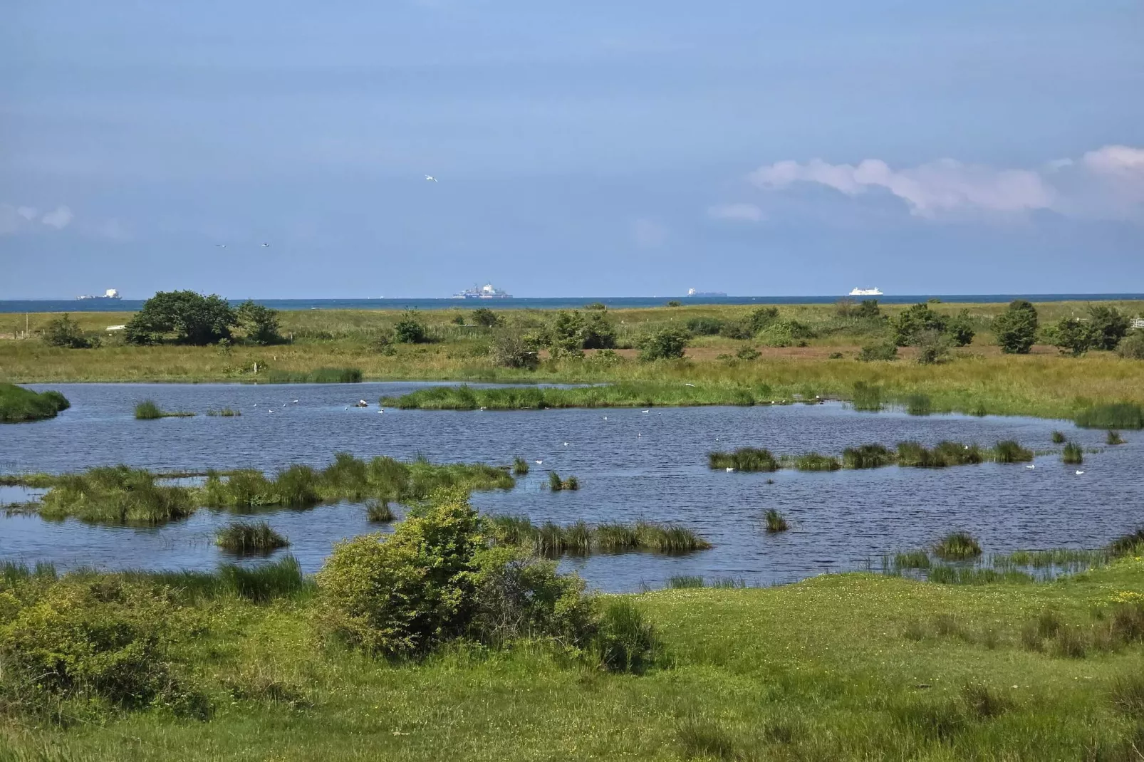 4 persoons vakantie huis in Rødby-By Traum-Waterzicht