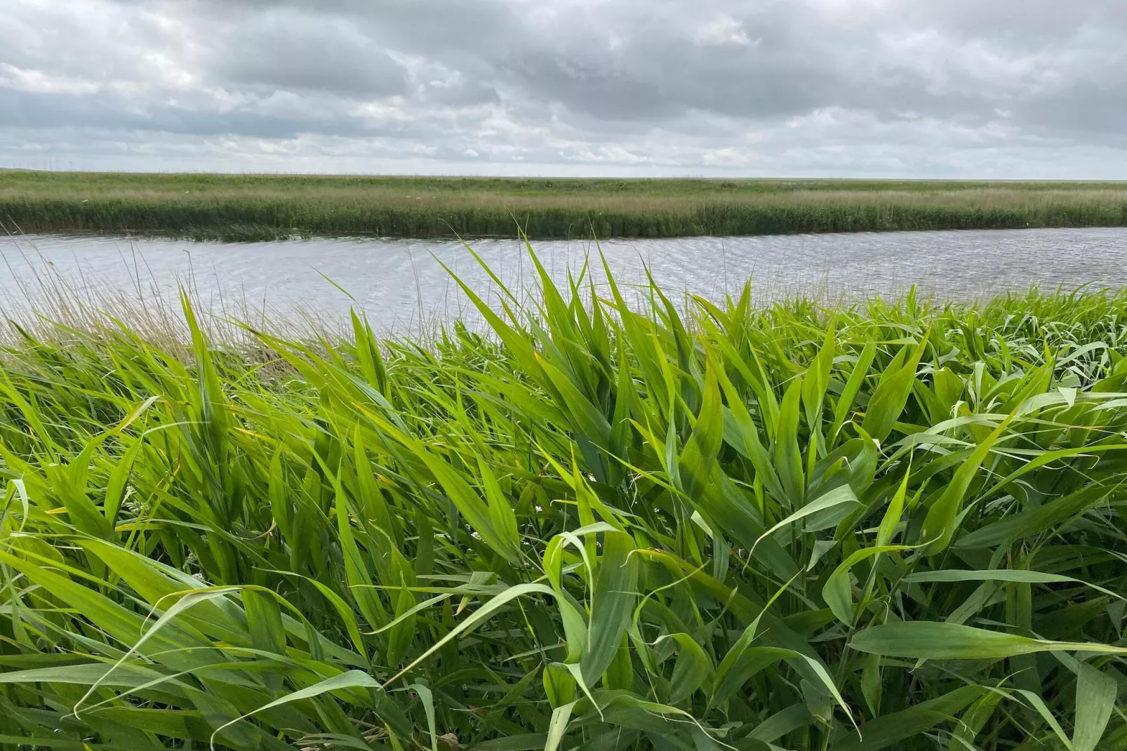 6 persoons vakantiehuis in Højer-Waterzicht