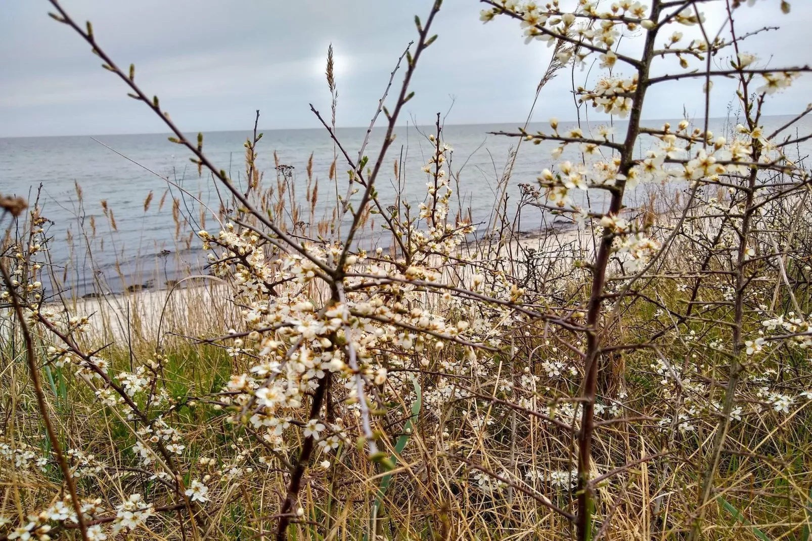 4 sterren vakantie huis in Idestrup-By Traum-Waterzicht