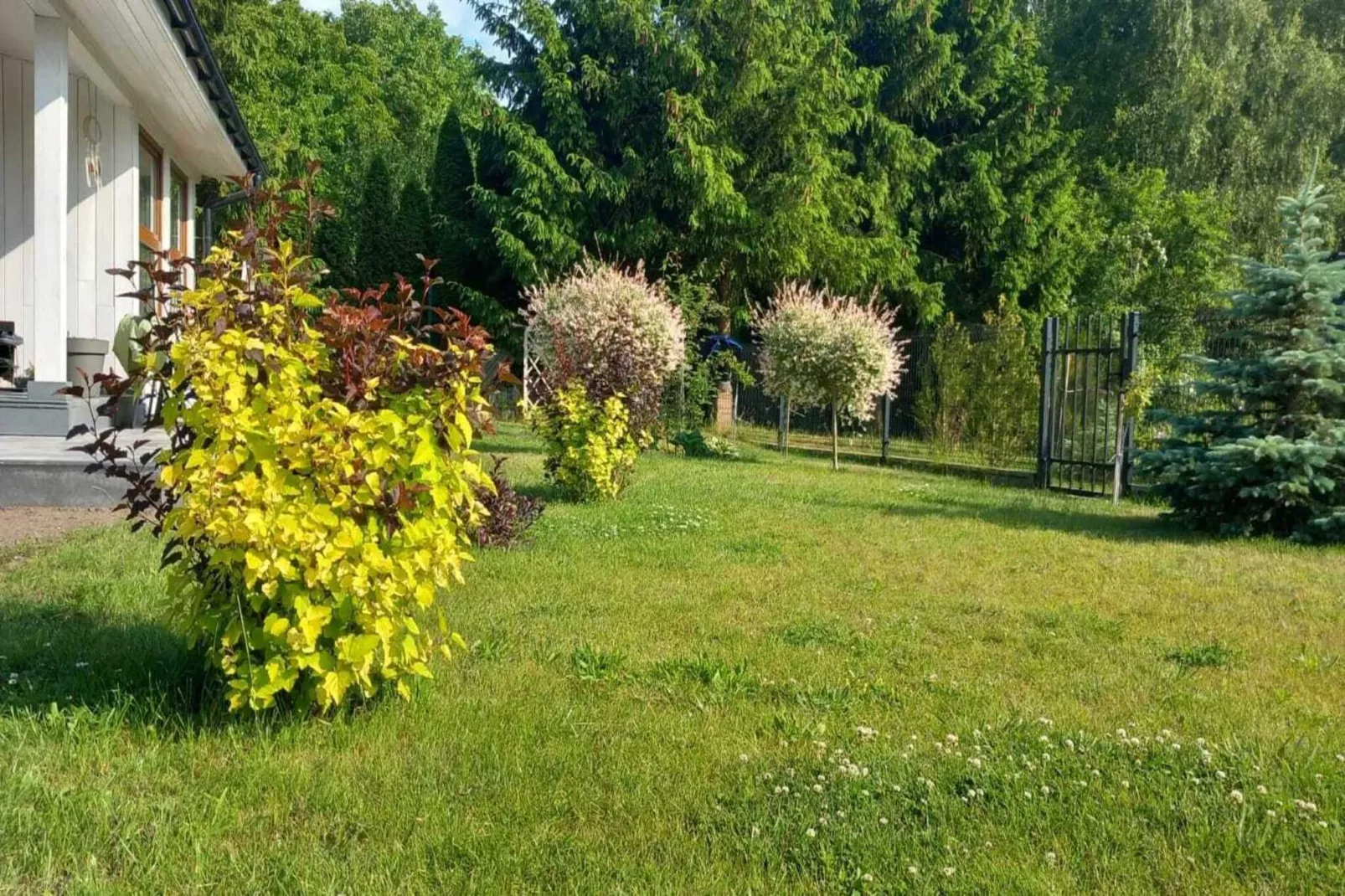 Budlejowy domek dla 4 osób w Kołczewie-Buitenkant zomer