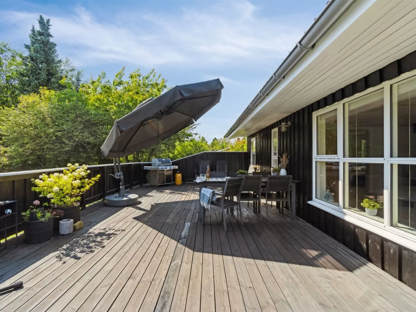 "Felippa" -  from the sea-Buiten