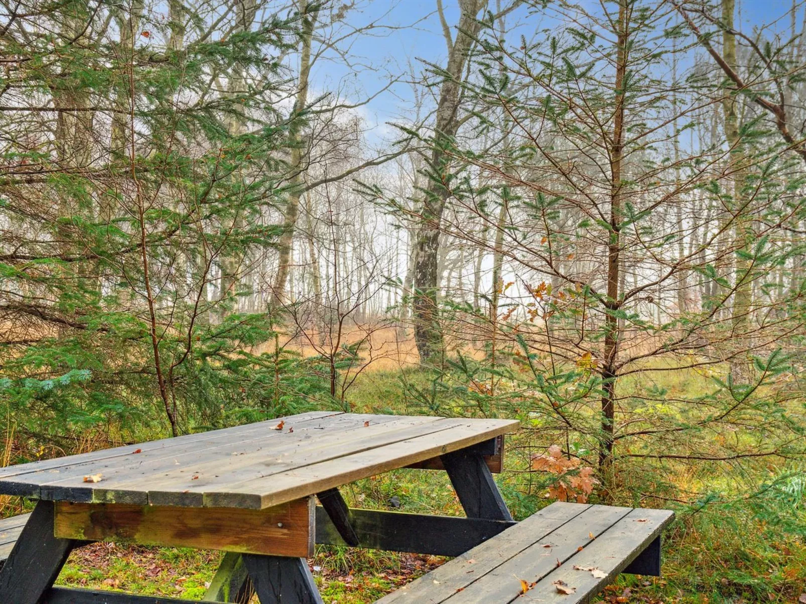 "Patrik" - 200m to the fjord-Buiten