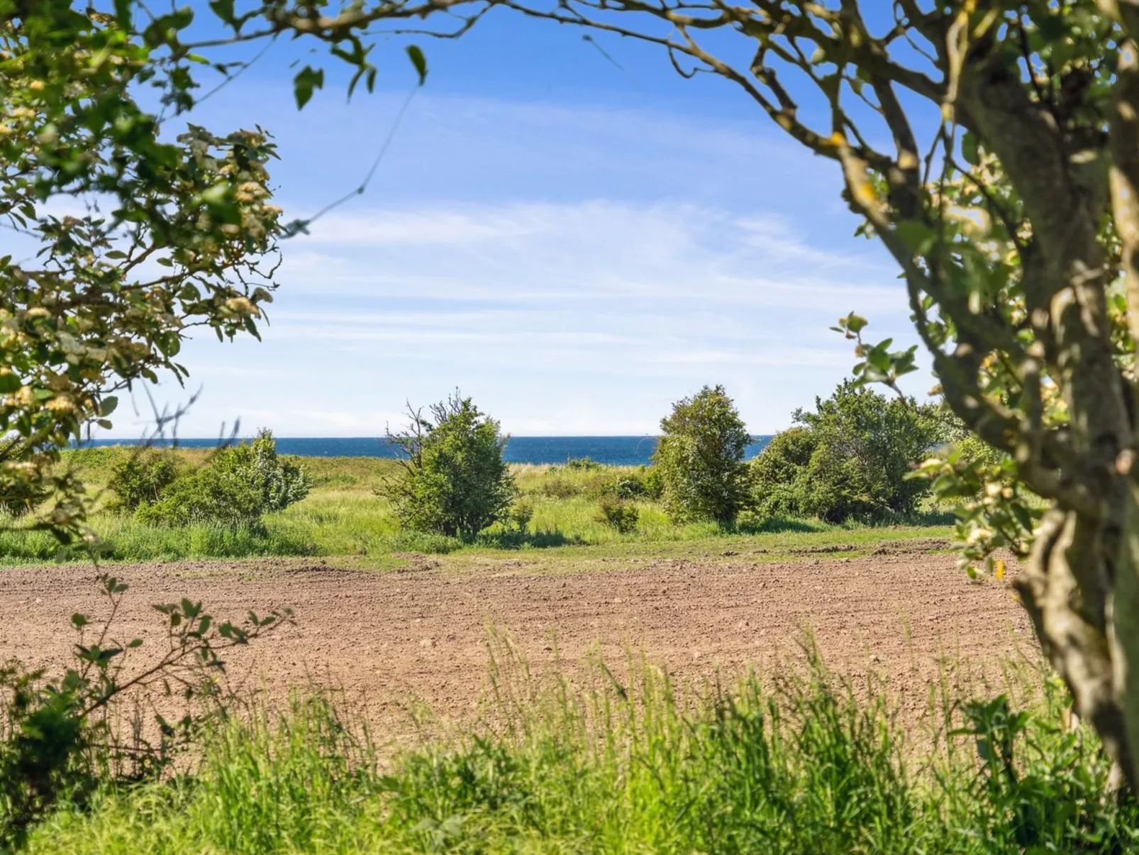 "Benthe" - 200m from the sea-Buiten