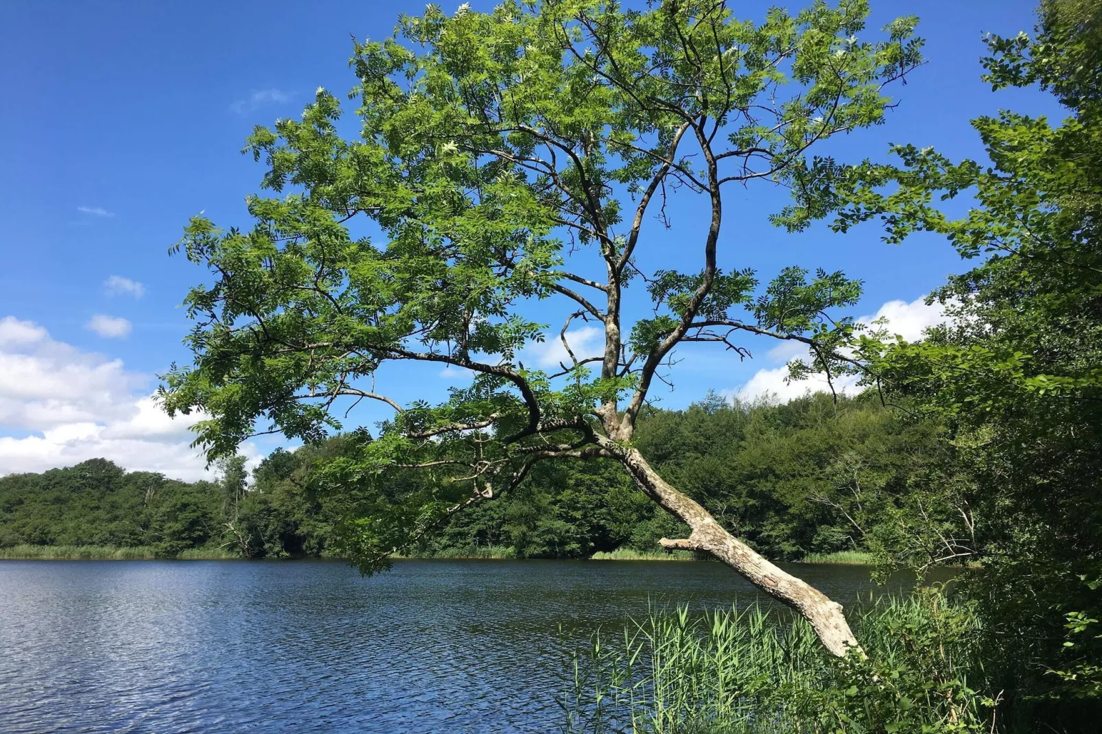 6 persoons vakantie huis in Skibby-By Traum-Waterzicht