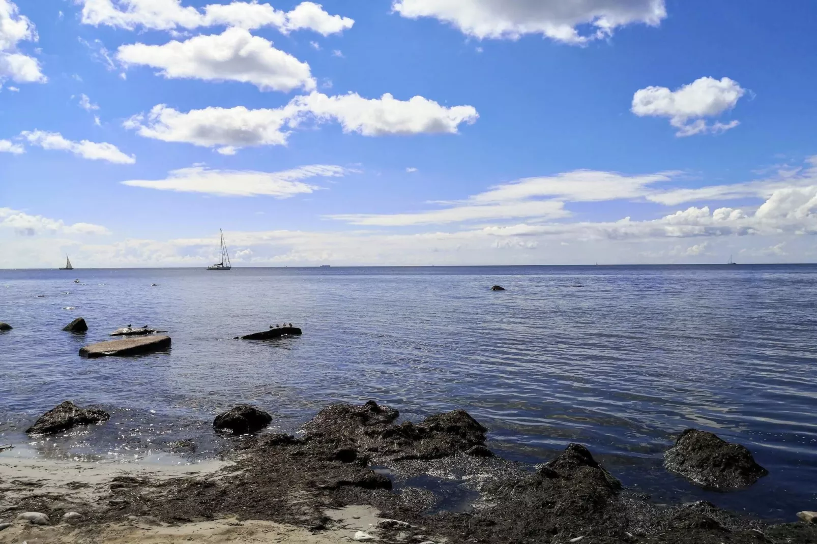 4 persoons vakantie huis in Borre-By Traum-Waterzicht