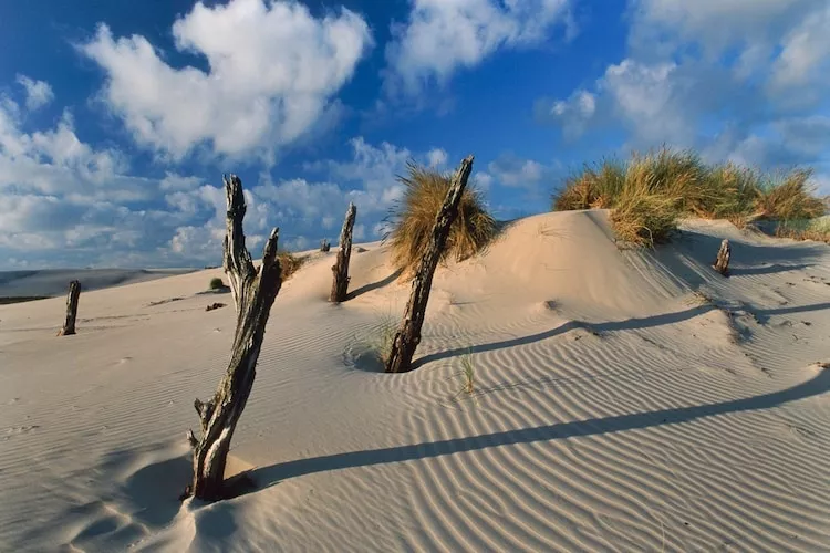 Apartament Piaskowy w Rowach dla max 5 osób-Gebieden zomer 20km