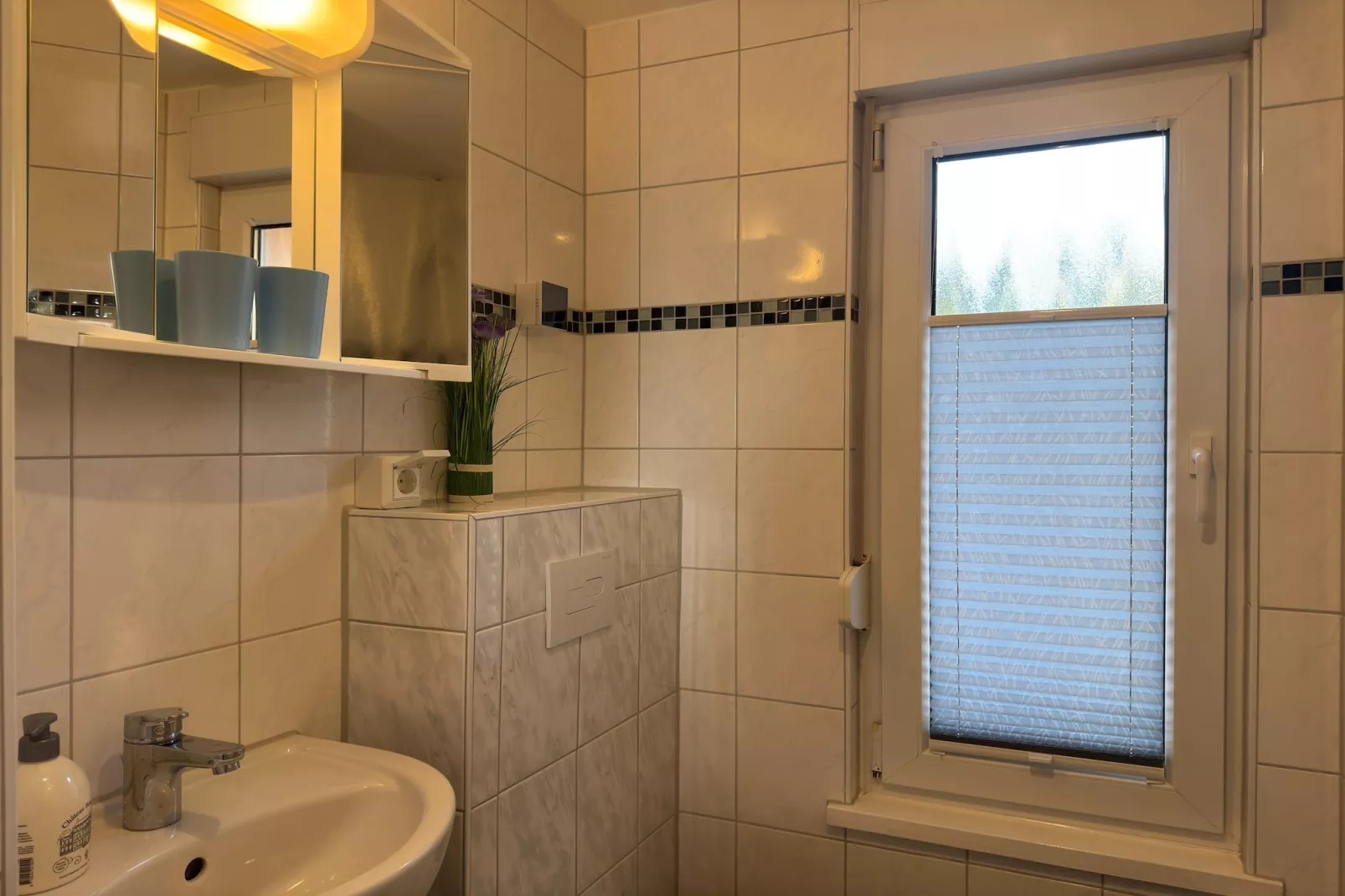 Meineckes Harzidyll Am Eichenberg-Badkamer