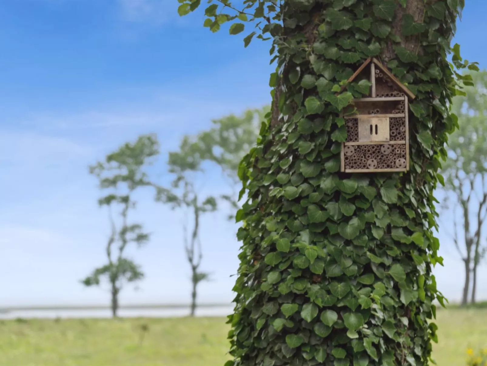 "Huldrik" - 100m from the sea-Buiten