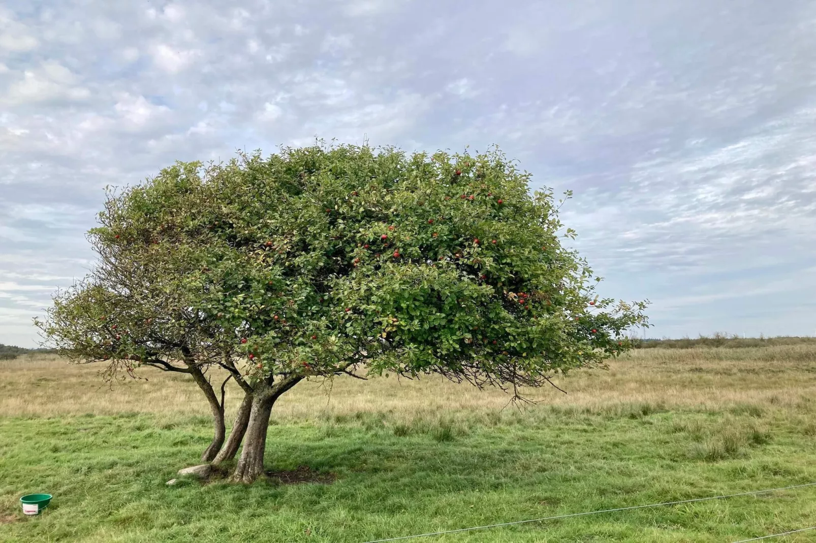 4 persoons vakantie huis in Bredebro-By Traum-Niet-getagd