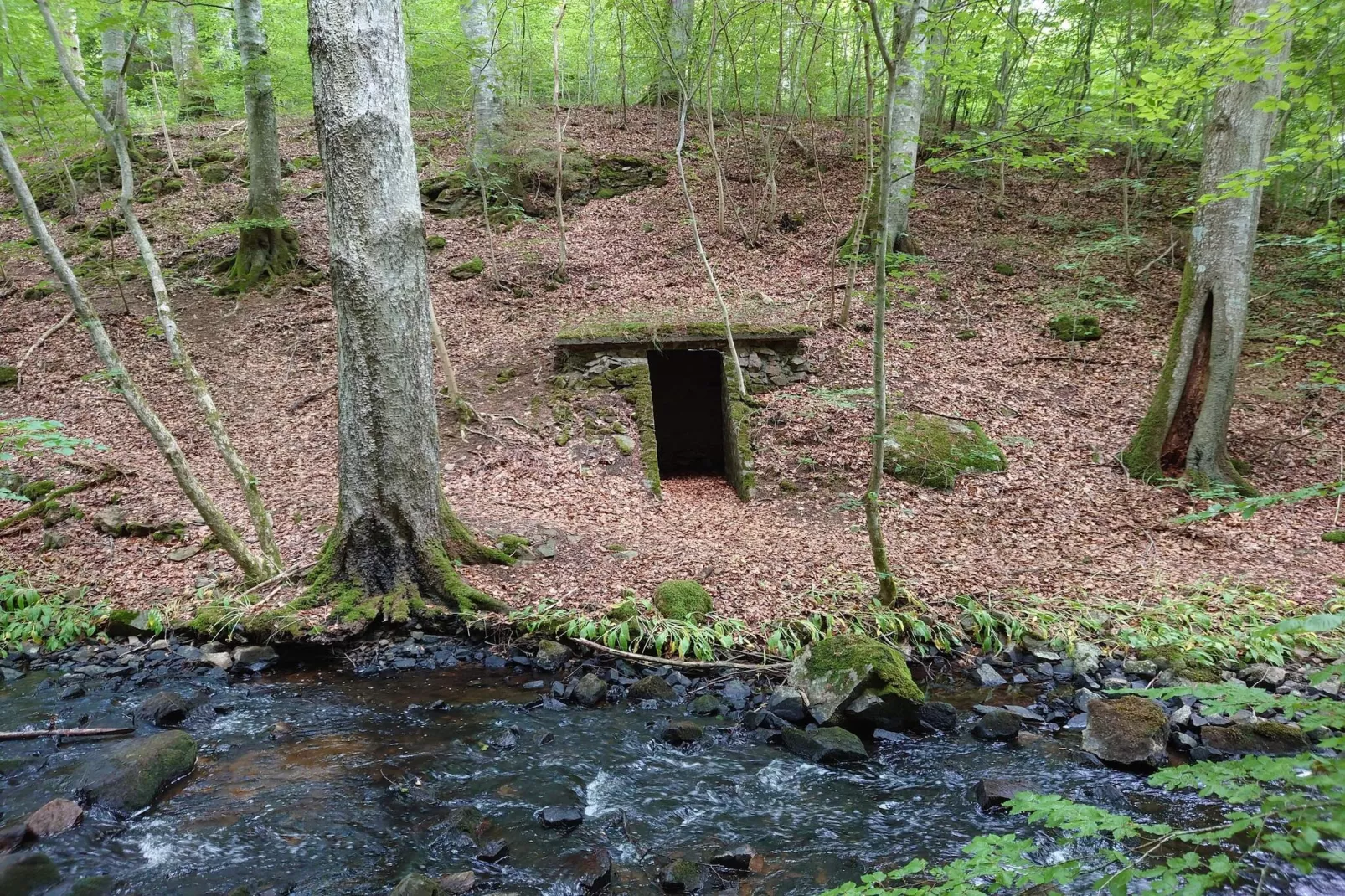 4 sterren vakantie huis in Gärsnäs-Waterzicht