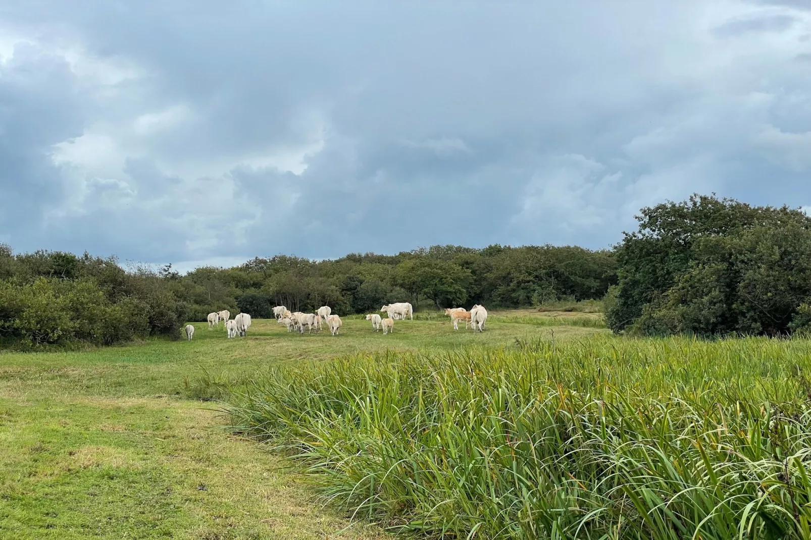 Tipitent de Jutter-Gebieden zomer 5km