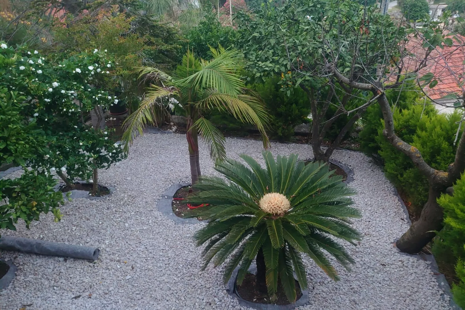 Villa Peragić - Triple Room with Balcony and Private External Bathroom-Uitzicht