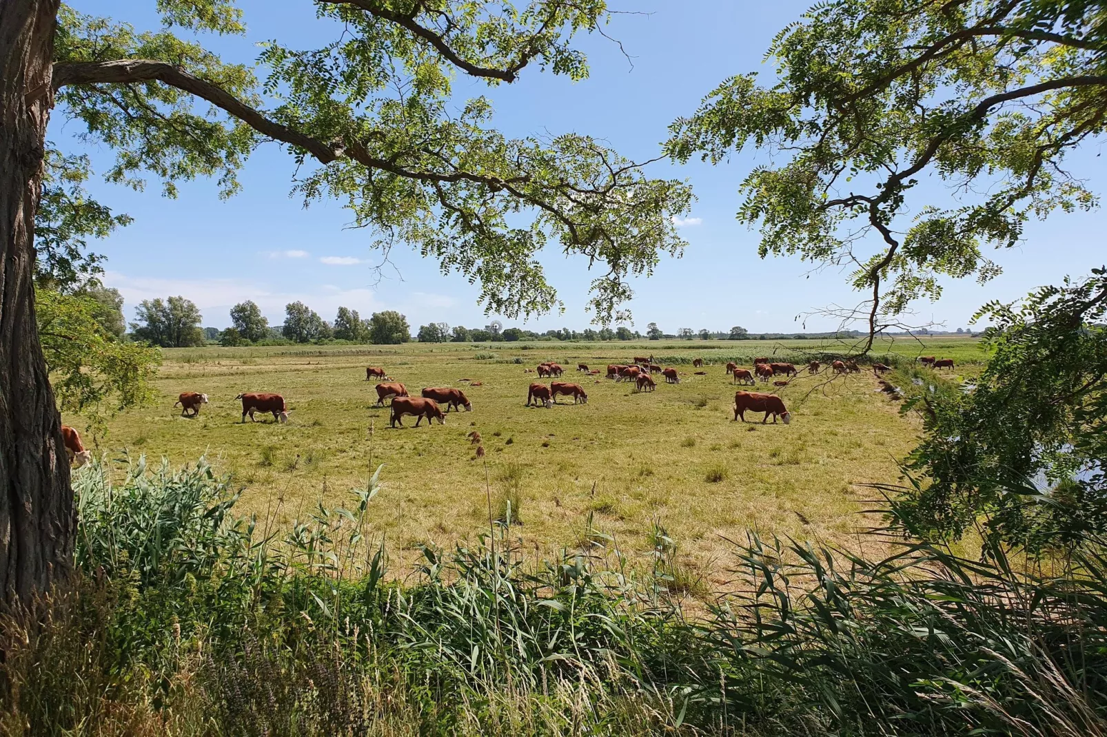 Seepark Sellin - 2 Personen-Gebieden zomer 5km