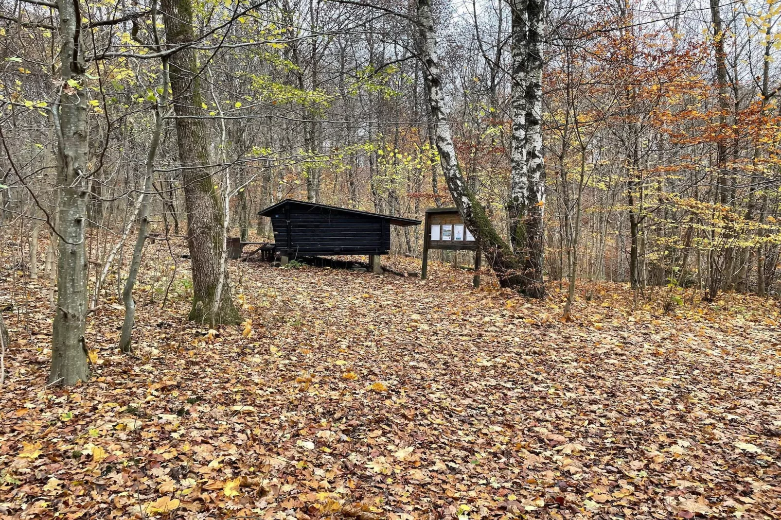 4 persoons vakantiehuis in Hoor-Niet-getagd