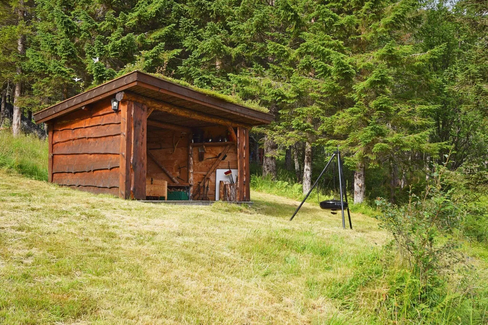 6 persoons vakantie huis in Sandhornøy-By Traum-Buitenlucht