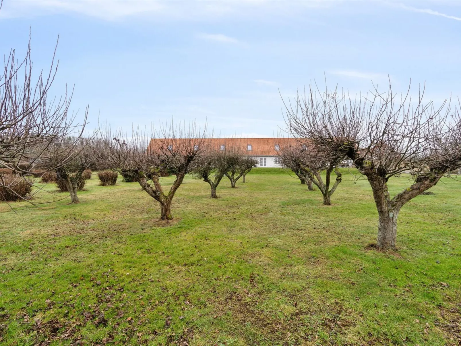 "Markus" - 300m from the sea-Buiten