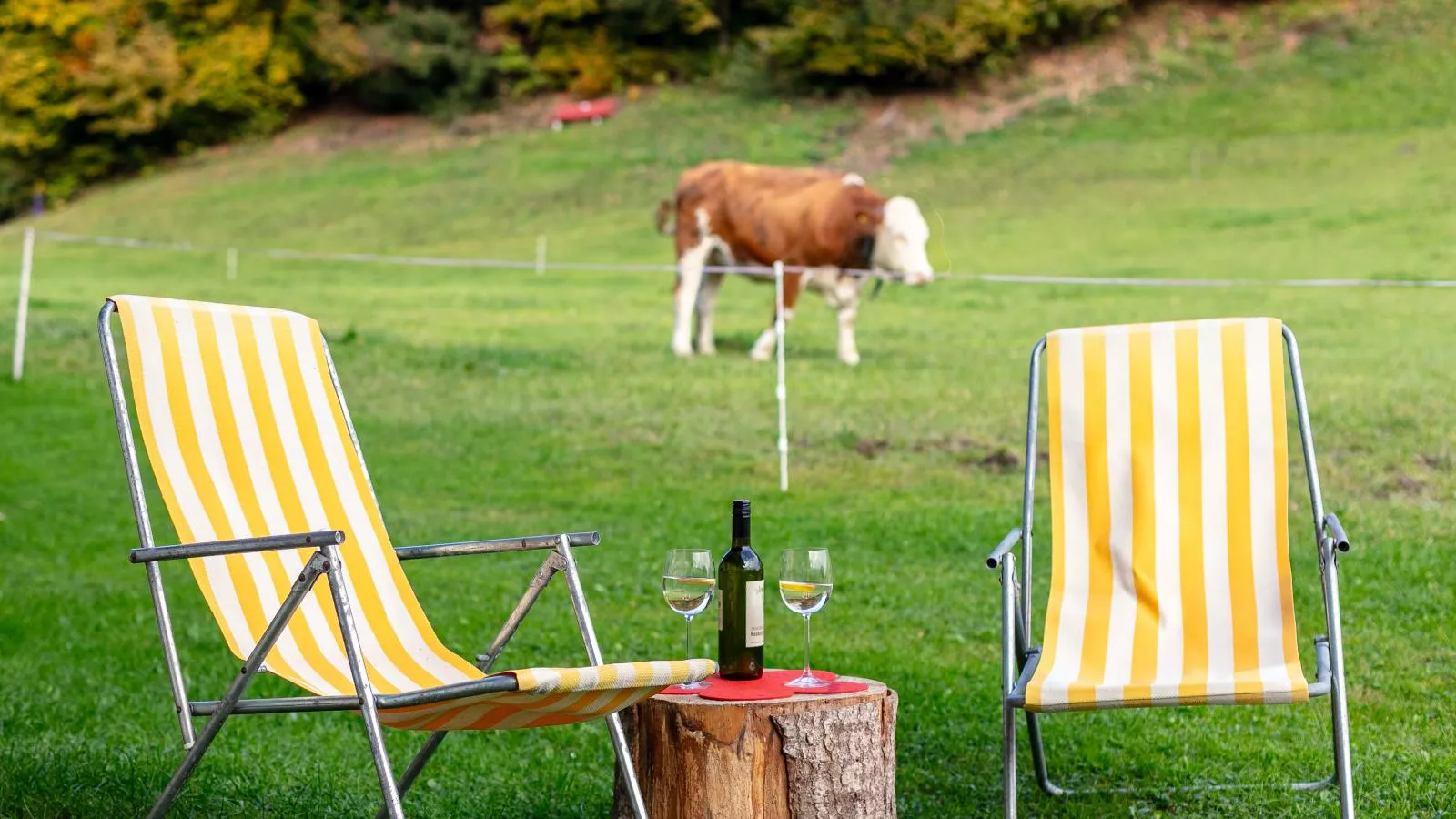 Tiroler Bergtraum Top 1-Tuinen zomer