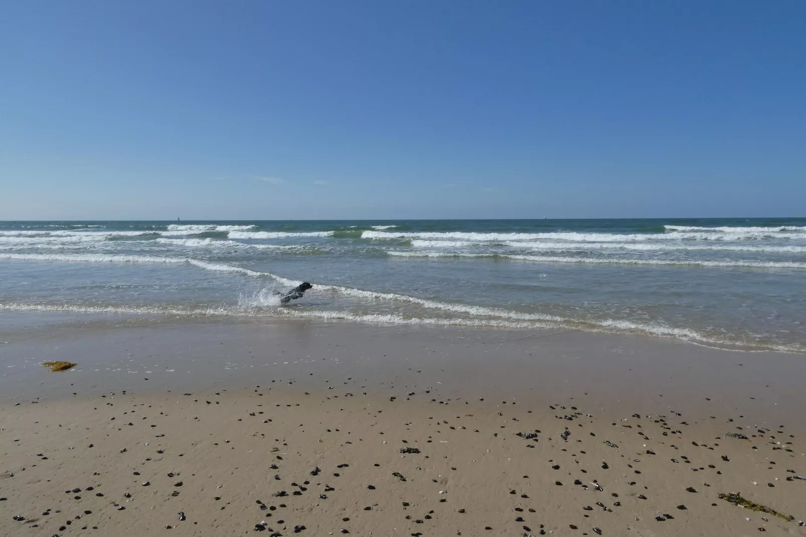 De Rede-Gebieden zomer 5km
