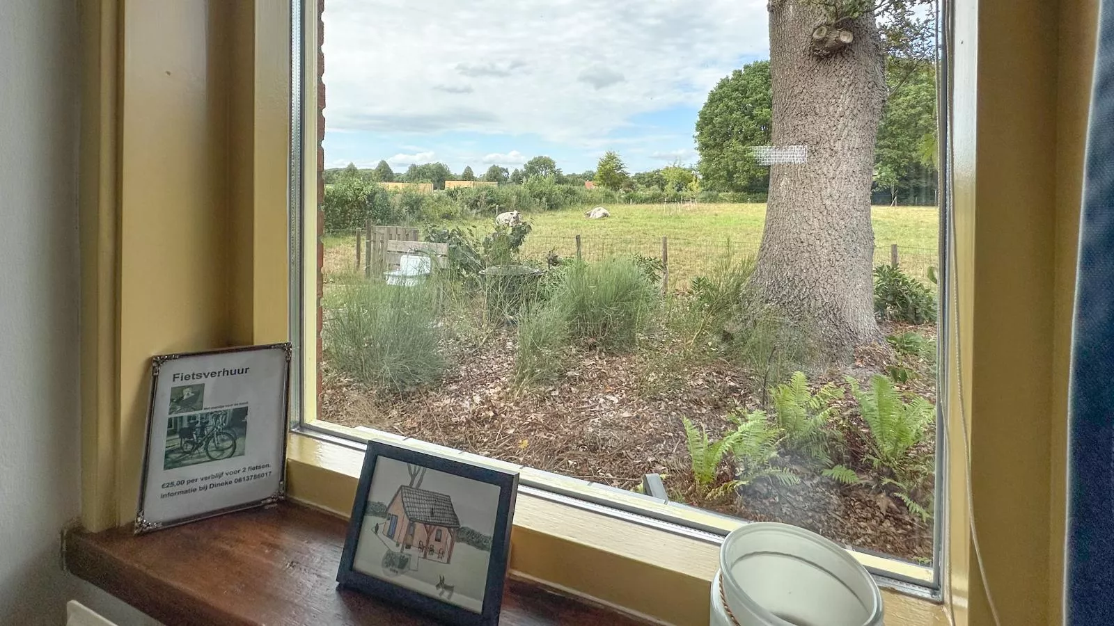 Het Bunt-Uitzicht zomer