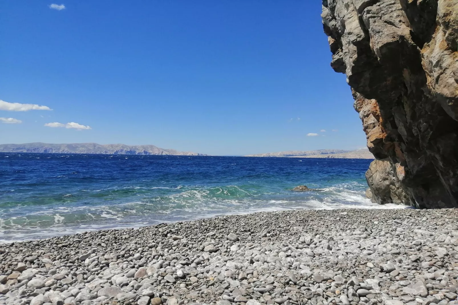 Niko 1-Gebieden zomer 1km